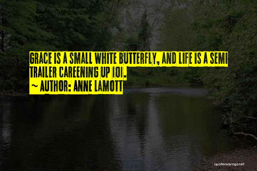 White Butterfly Quotes By Anne Lamott
