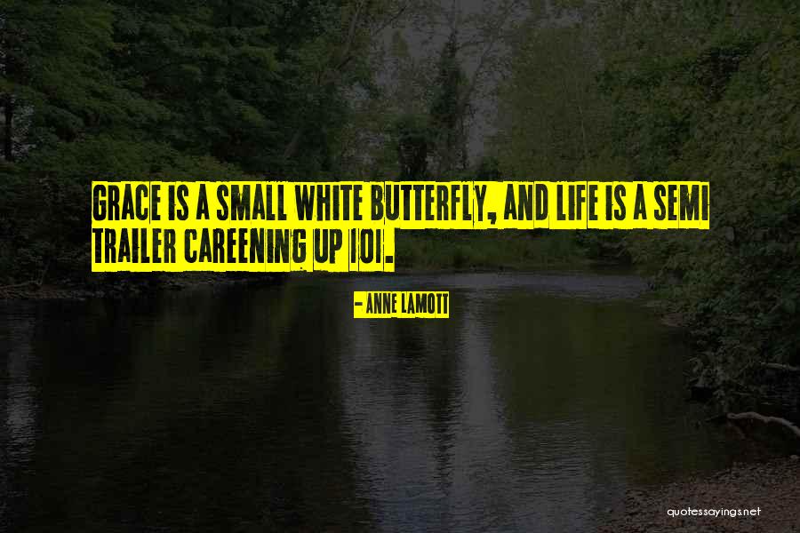 White Butterfly Quotes By Anne Lamott