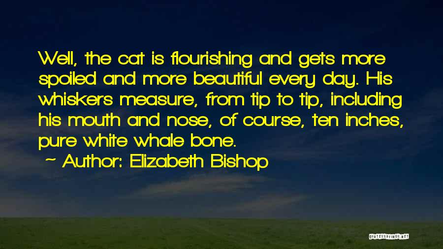 White Cat Quotes By Elizabeth Bishop