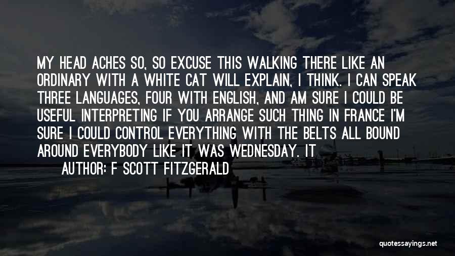 White Cat Quotes By F Scott Fitzgerald