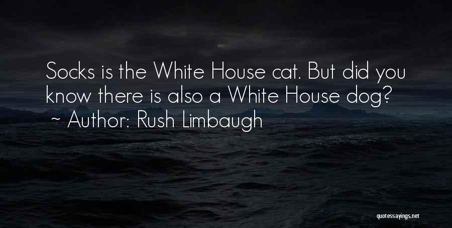White Cat Quotes By Rush Limbaugh