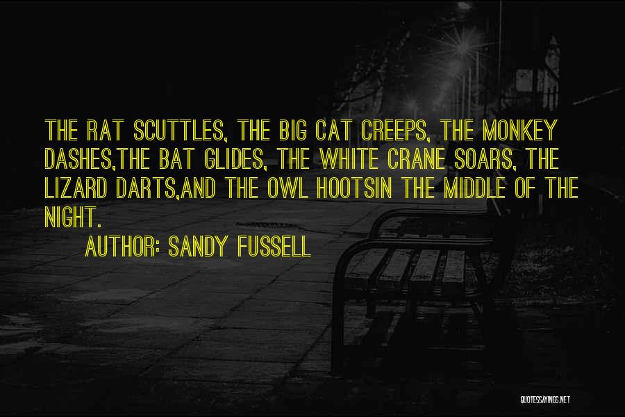 White Cat Quotes By Sandy Fussell