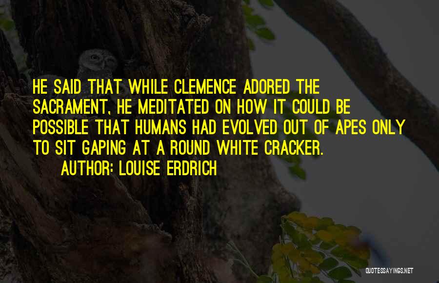 White Cracker Quotes By Louise Erdrich