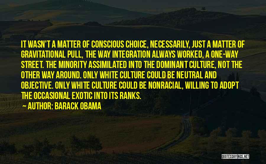 White Culture Quotes By Barack Obama