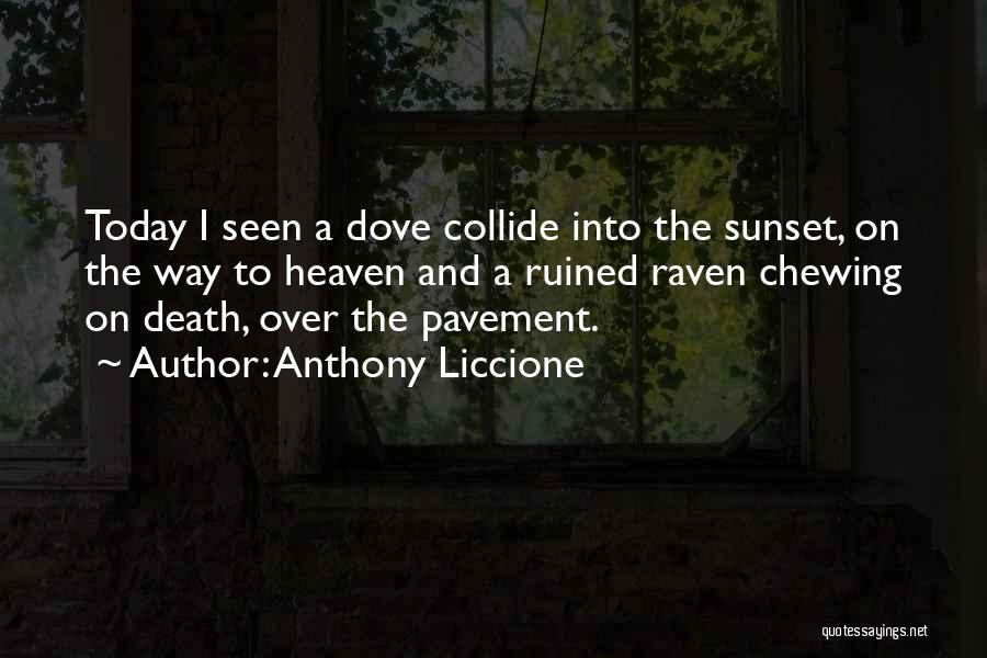 White Dove Quotes By Anthony Liccione