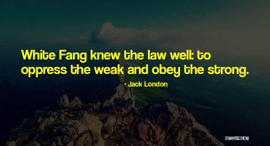 White Fang Quotes By Jack London