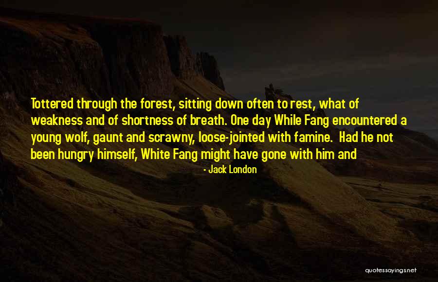 White Fang Quotes By Jack London