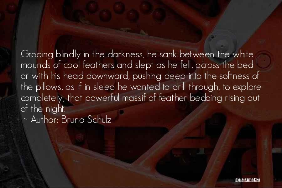White Feathers Quotes By Bruno Schulz