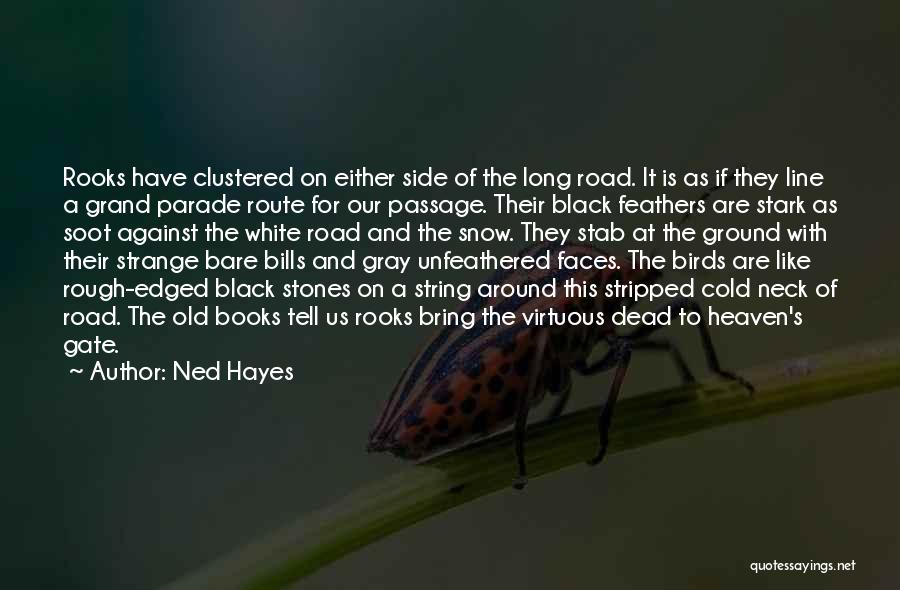 White Feathers Quotes By Ned Hayes