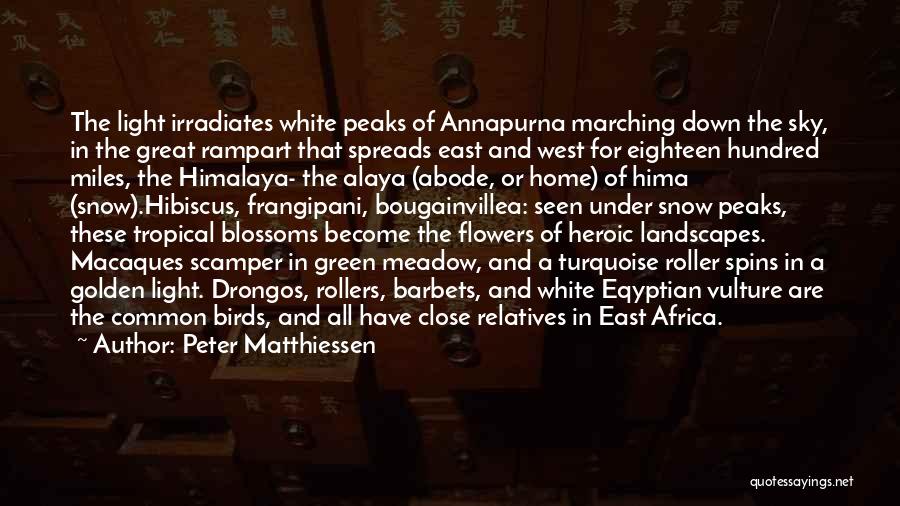 White Flowers Quotes By Peter Matthiessen