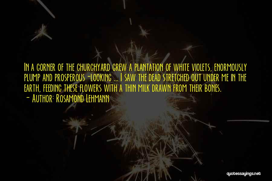 White Flowers Quotes By Rosamond Lehmann