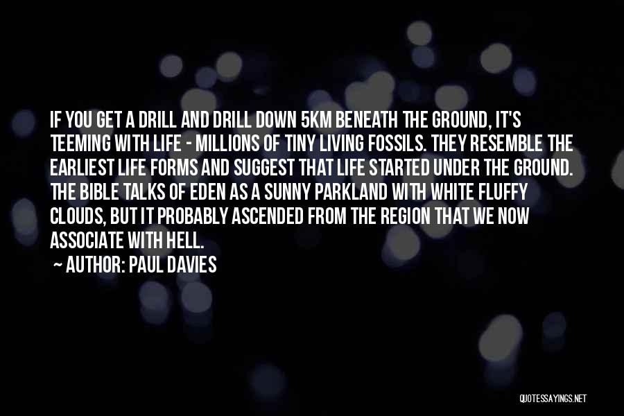 White Fluffy Clouds Quotes By Paul Davies