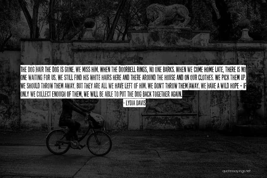 White Hairs Quotes By Lydia Davis White Hairs Quotes By Lydia Davis