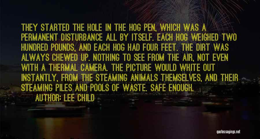 White Hole Quotes By Lee Child