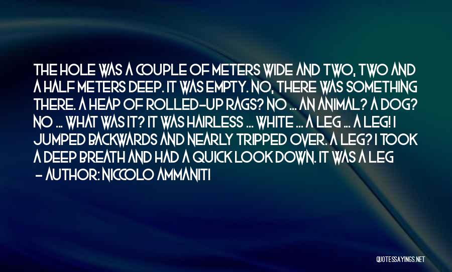 White Hole Quotes By Niccolo Ammaniti