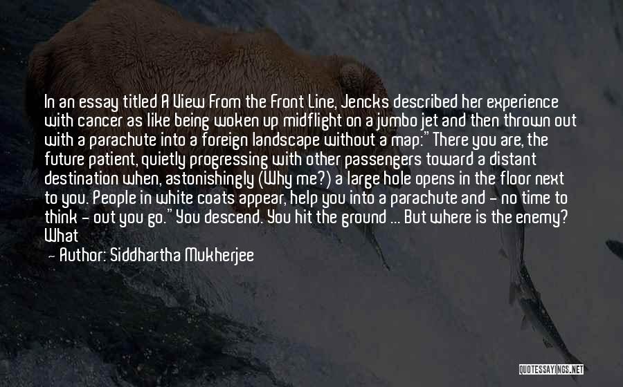 White Hole Quotes By Siddhartha Mukherjee