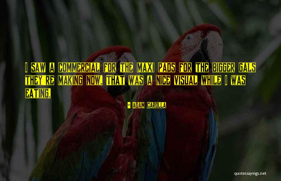 White Idolatry Quotes By Adam Carolla White Idolatry Quotes By Adam Carolla