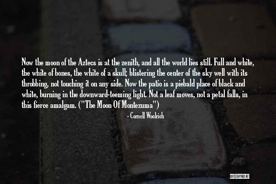 White Lies Quotes By Cornell Woolrich