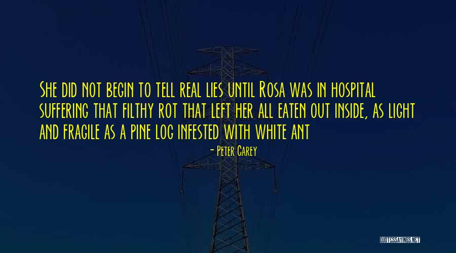 White Lies Quotes By Peter Carey