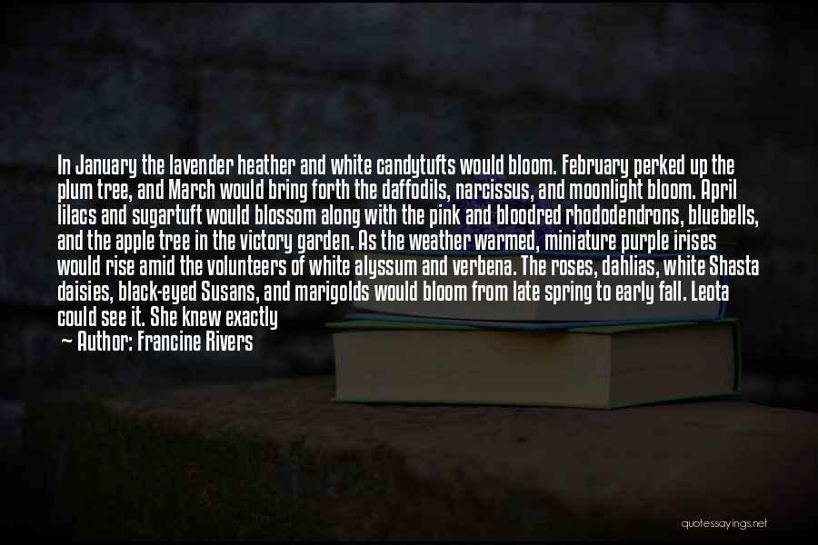 White Lilacs Quotes By Francine Rivers