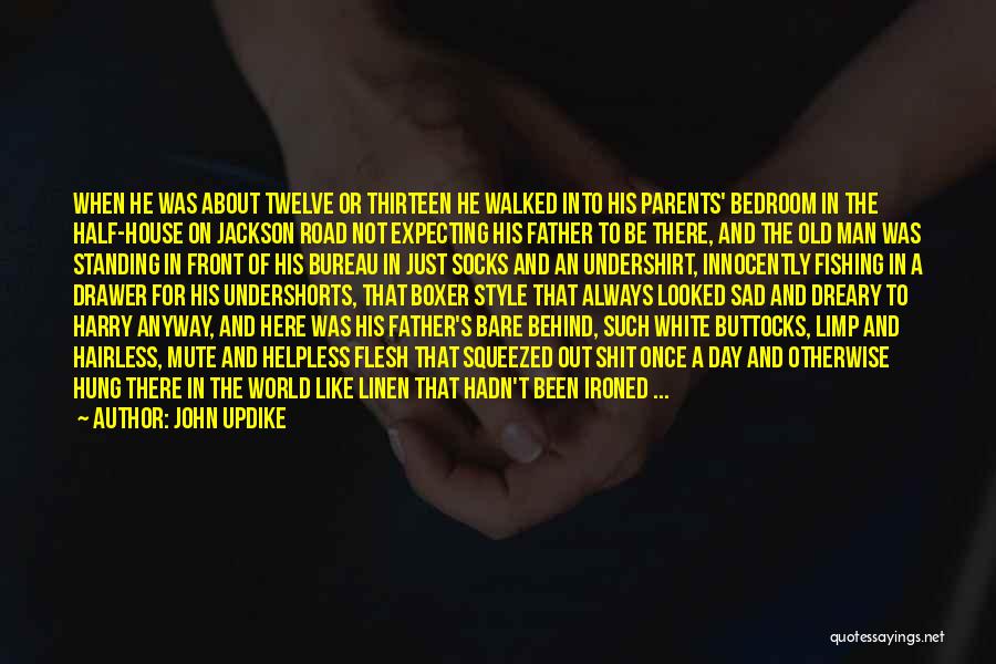 White Man's World Quotes By John Updike