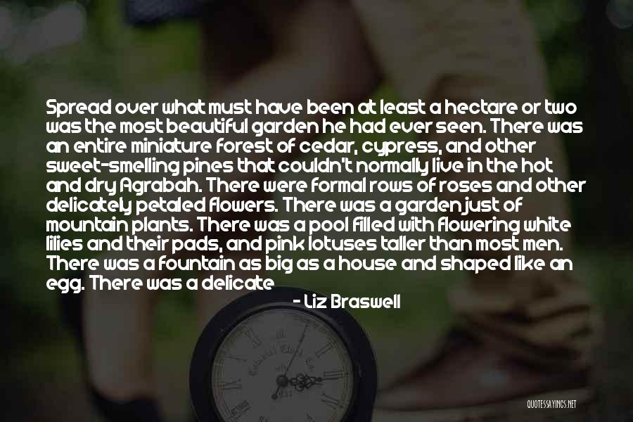 White Mountain Quotes By Liz Braswell White Mountain Quotes By Liz Braswell