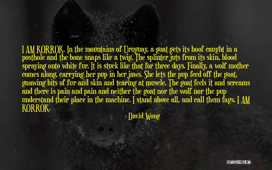 White Mountains Quotes By David Wong White Mountains Quotes By David Wong