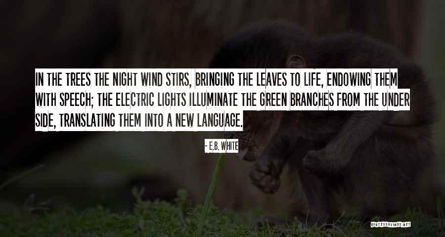 White Nights Quotes By E.B. White