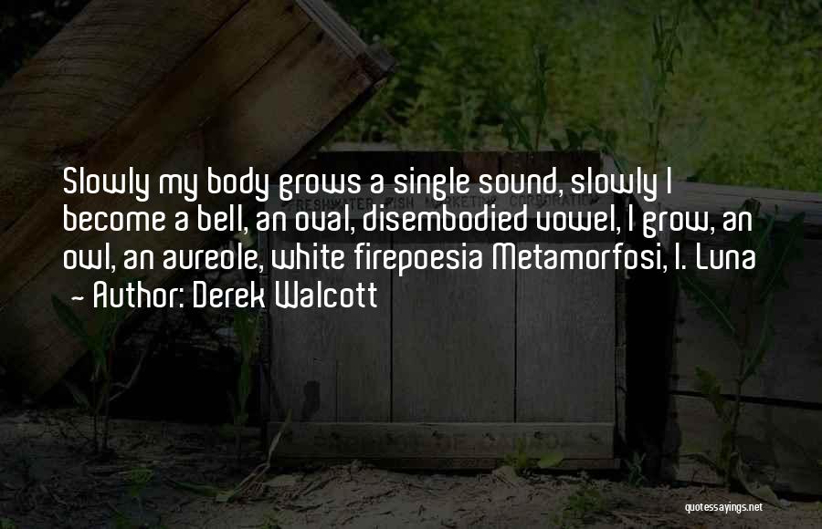 White Owl Quotes By Derek Walcott