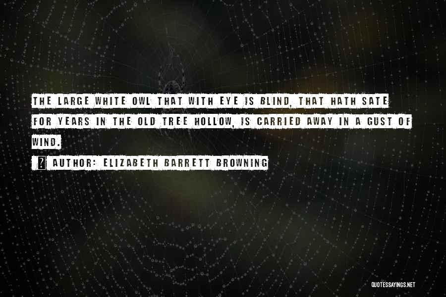 White Owl Quotes By Elizabeth Barrett Browning