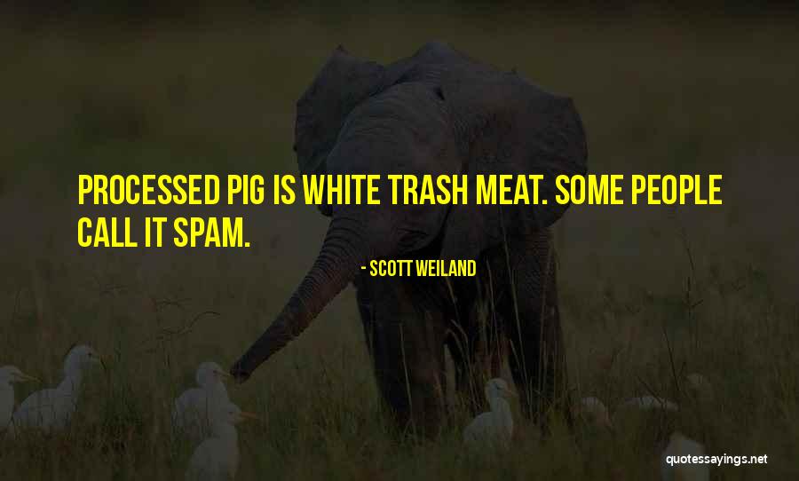 White People Quotes By Scott Weiland