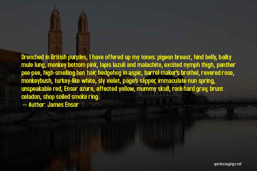 White Pigeon Quotes By James Ensor