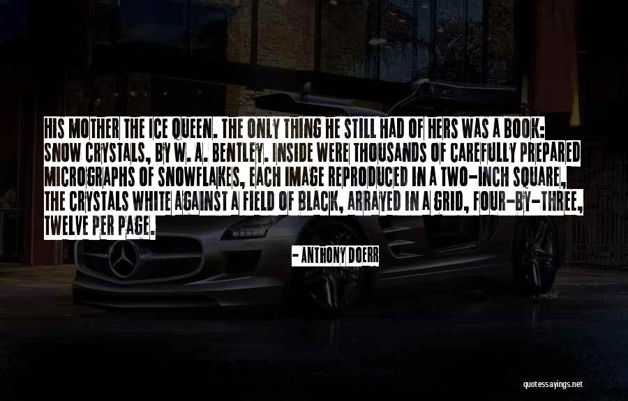 White Queen Quotes By Anthony Doerr White Queen Quotes By Anthony Doerr