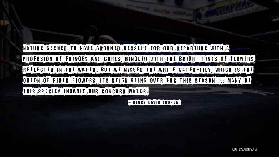 White Queen Quotes By Henry David Thoreau White Queen Quotes By Henry David Thoreau