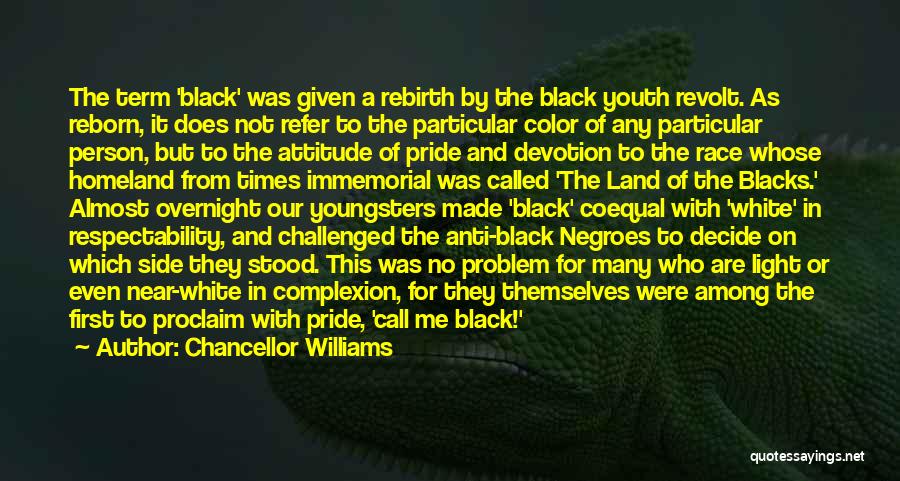 White Race Quotes By Chancellor Williams