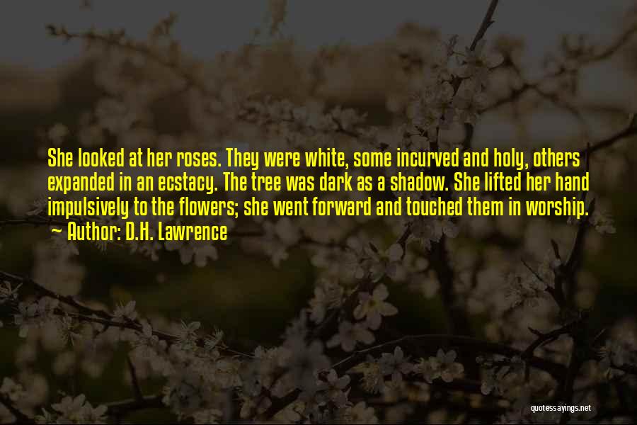 White Roses Quotes By D.H. Lawrence