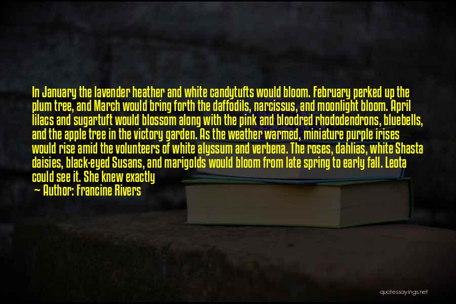 White Roses Quotes By Francine Rivers