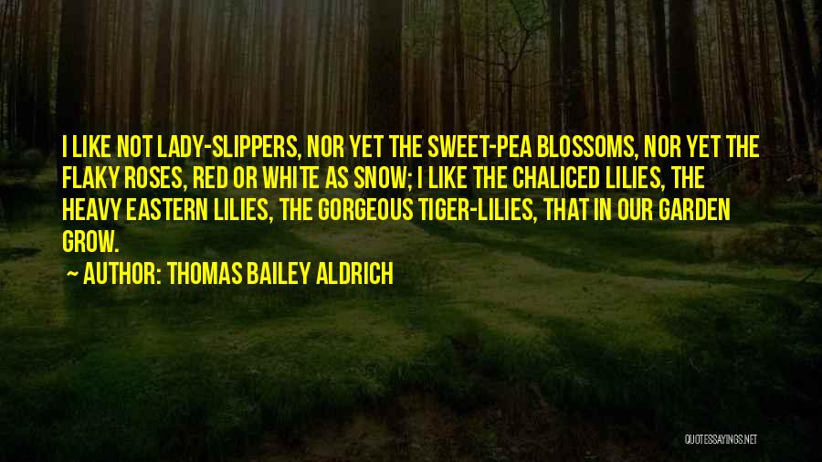 White Roses Quotes By Thomas Bailey Aldrich