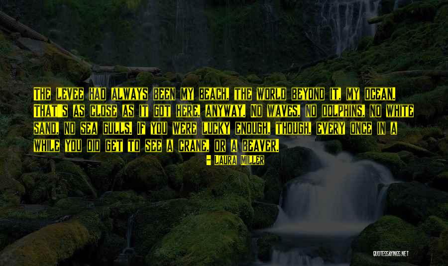 White Sand Quotes By Laura Miller White Sand Quotes By Laura Miller