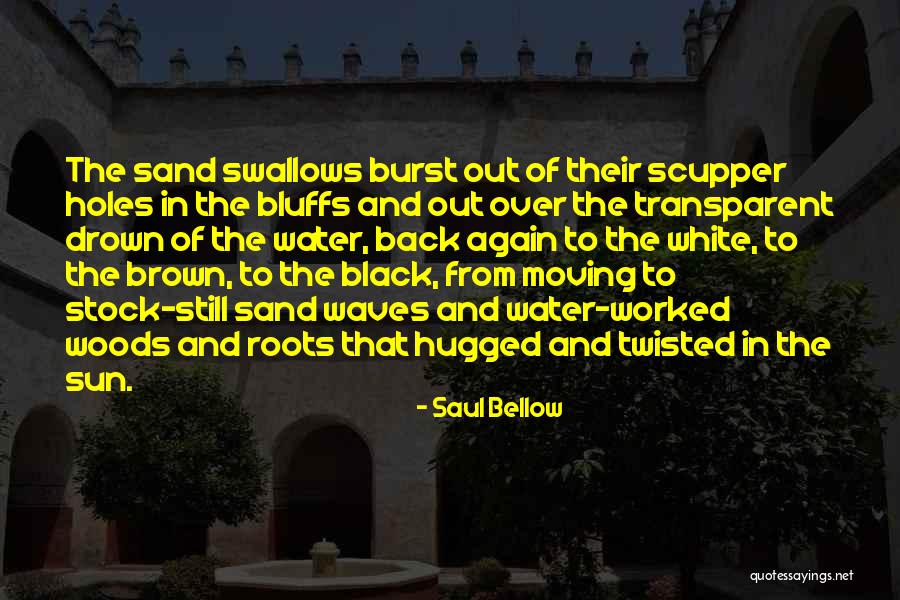 White Sand Quotes By Saul Bellow White Sand Quotes By Saul Bellow
