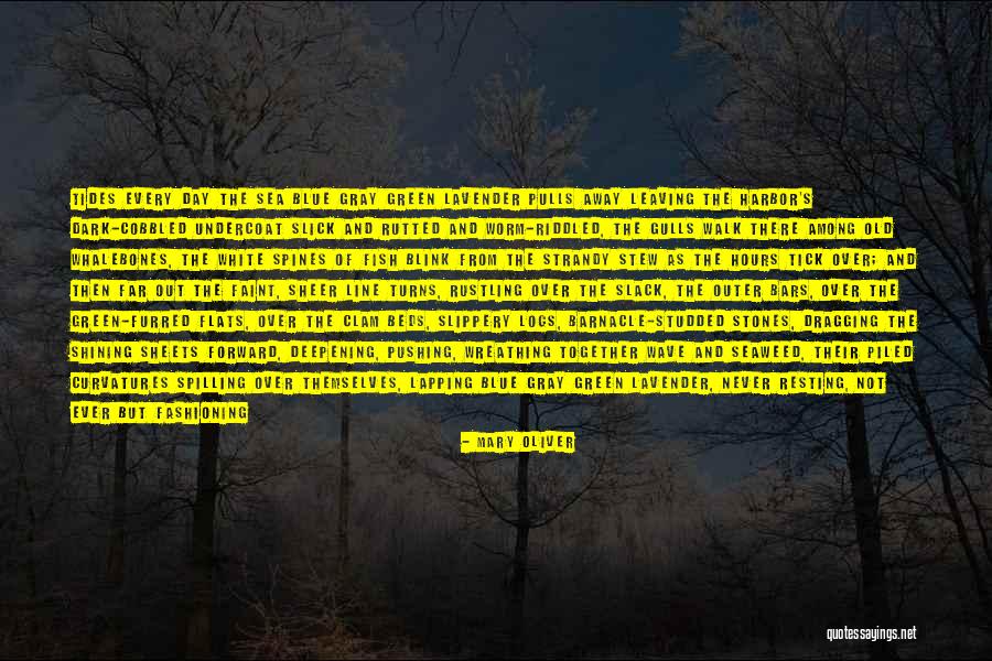 White Sheets Quotes By Mary Oliver White Sheets Quotes By Mary Oliver