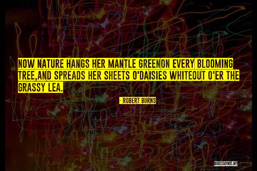 White Sheets Quotes By Robert Burns White Sheets Quotes By Robert Burns
