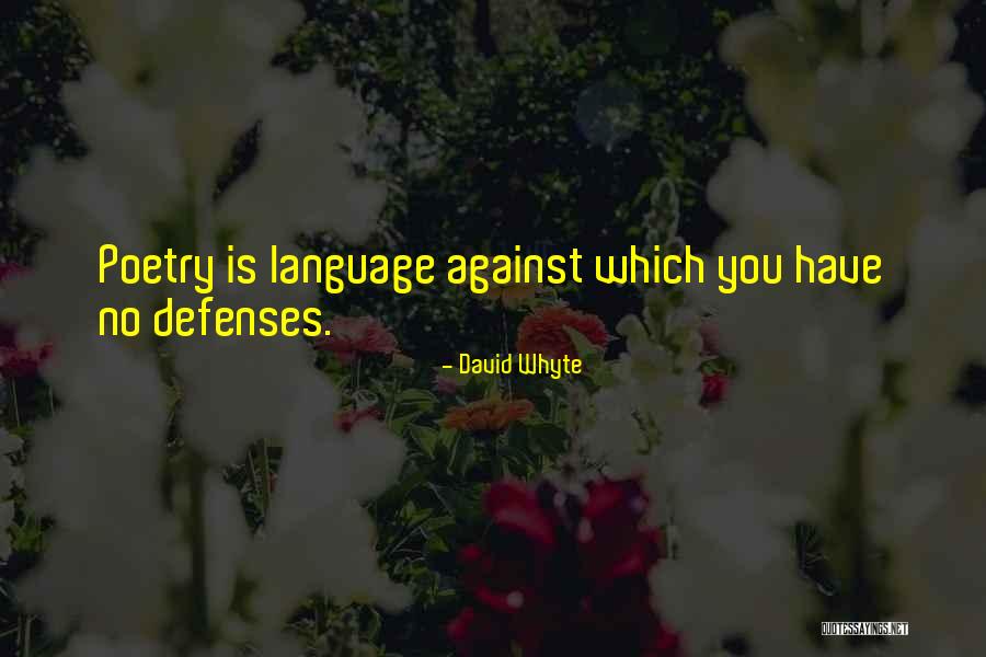 White Skinned Squash Quotes By David Whyte White Skinned Squash Quotes By David Whyte