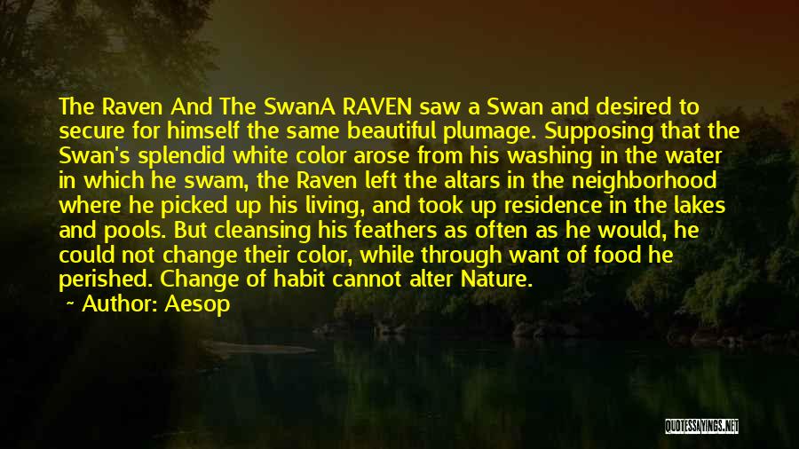 White Swan Quotes By Aesop