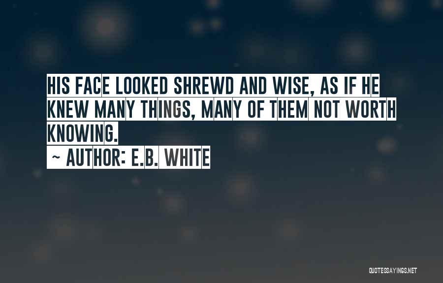 White Swan Quotes By E.B. White