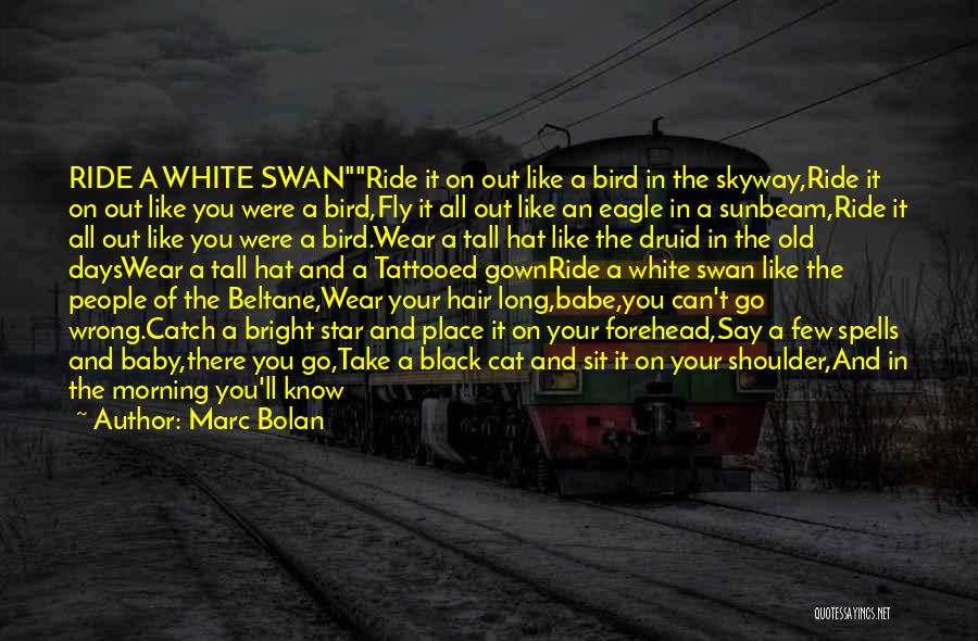 White Swan Quotes By Marc Bolan