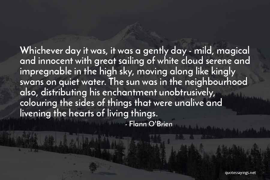 White Swans Quotes By Flann O'Brien White Swans Quotes By Flann O'Brien