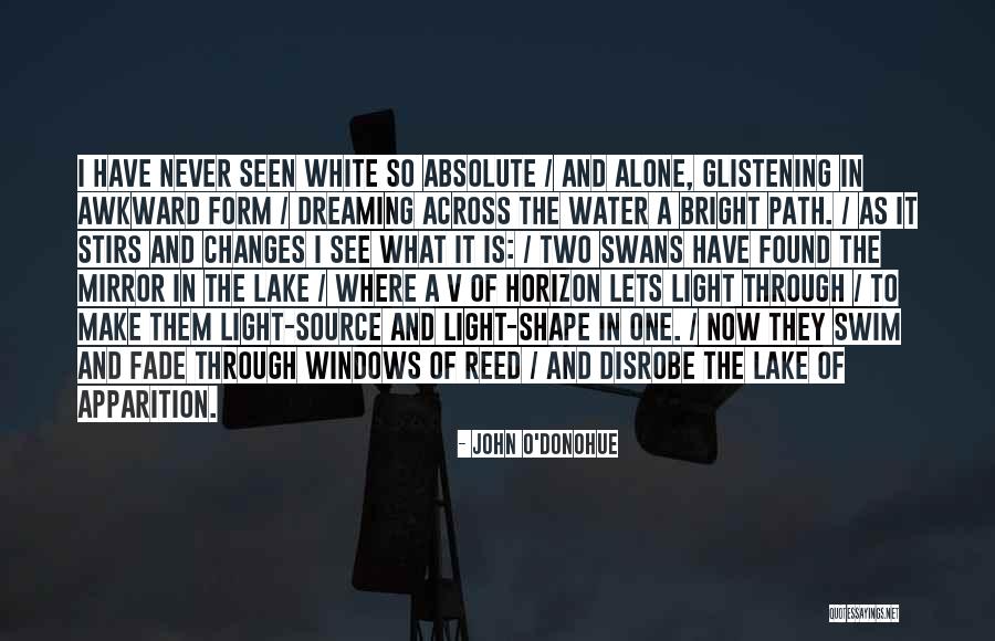 White Swans Quotes By John O'Donohue White Swans Quotes By John O'Donohue
