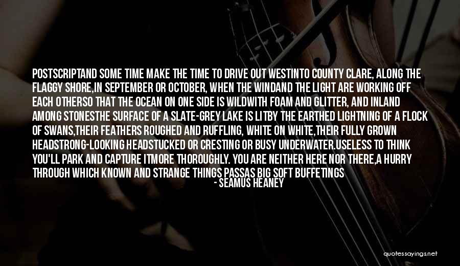 White Swans Quotes By Seamus Heaney White Swans Quotes By Seamus Heaney