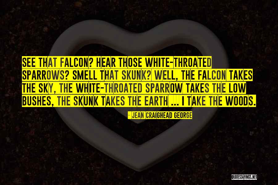 White Throated Sparrow Quotes By Jean Craighead George White Throated Sparrow Quotes By Jean Craighead George